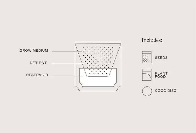 Terracotta Cherry Tomato Kit