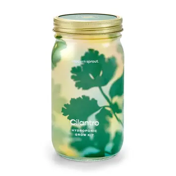Cilantro Garden Jar