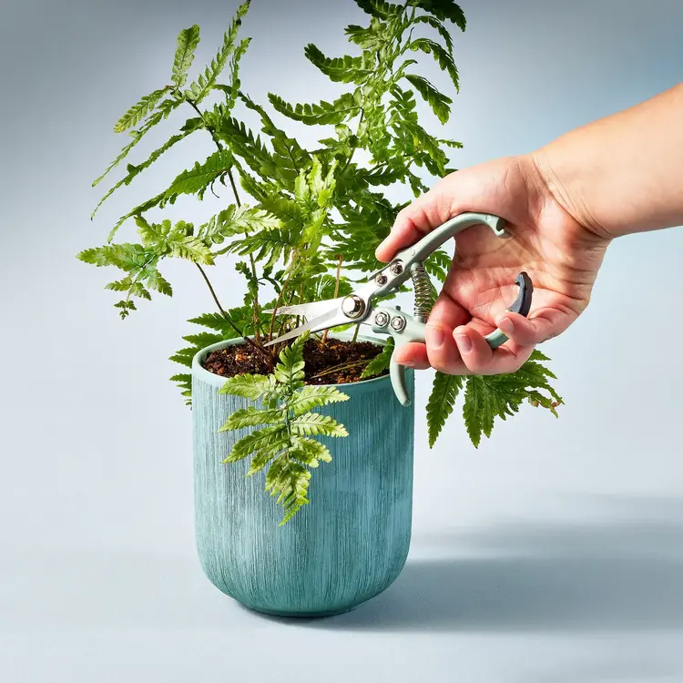 Lavender Garden Shears