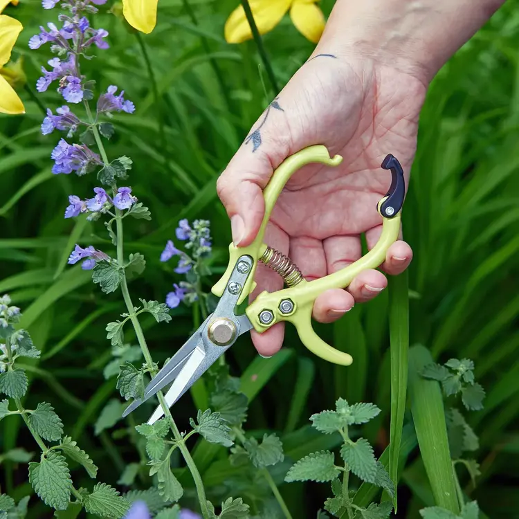 Lavender Garden Shears