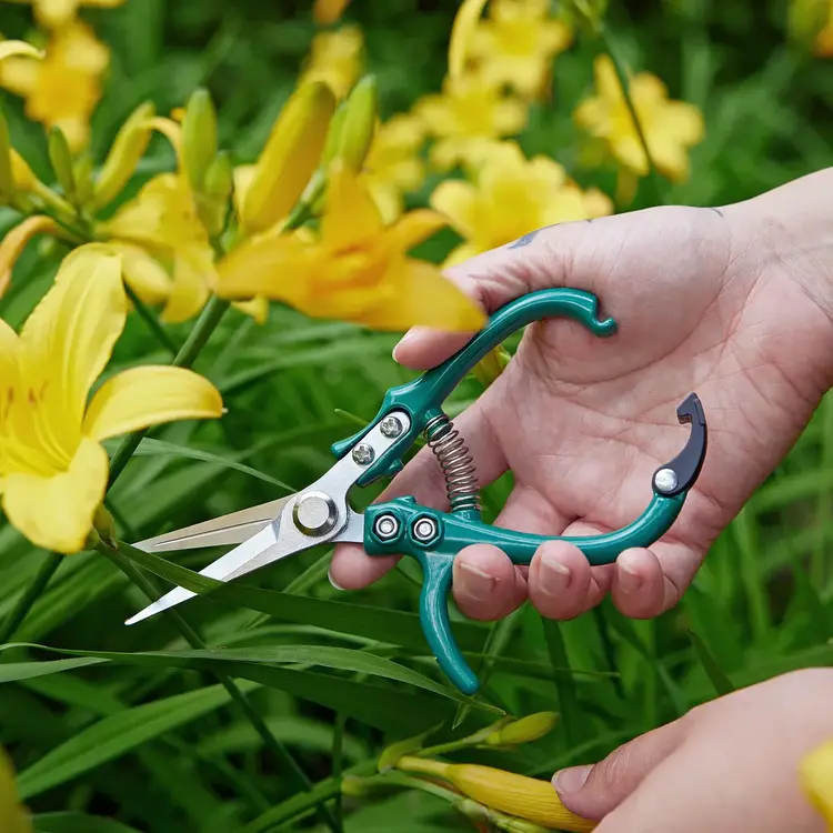 Lavender Garden Shears