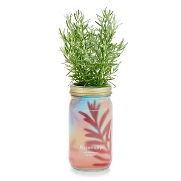 Rosemary Garden Jar