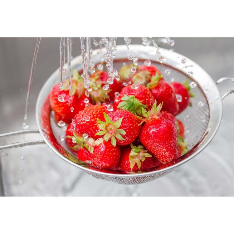 5" Double Mesh Strainer