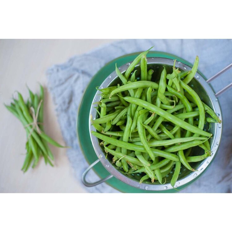 7" Double Mesh Strainer