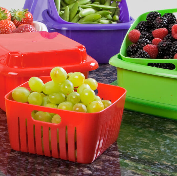 Berry Box & Colander