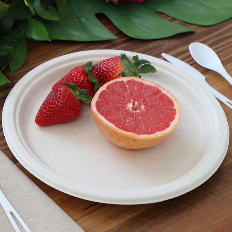 10" Compostable Plates, set of 50