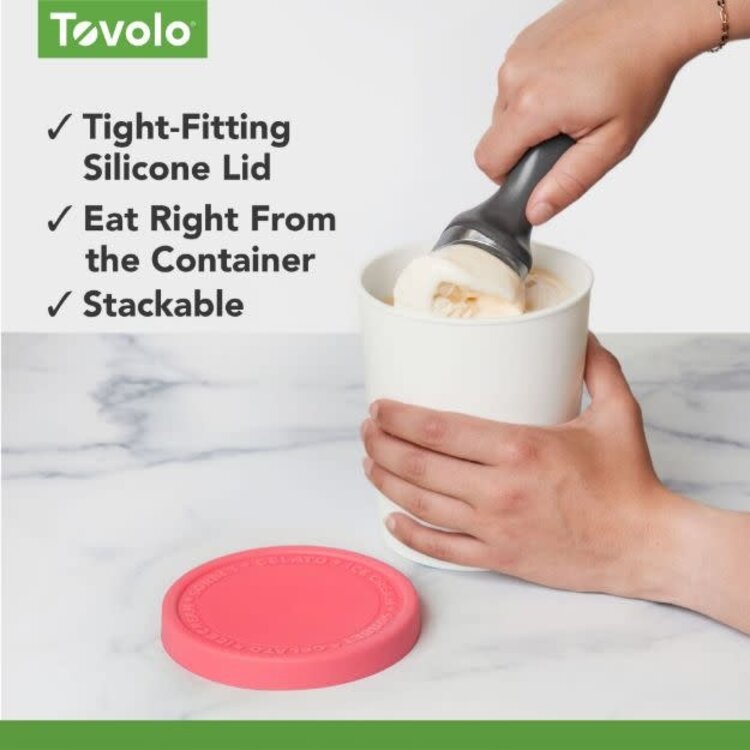 Tovolo Flamingo Pink Ice Cream Tub