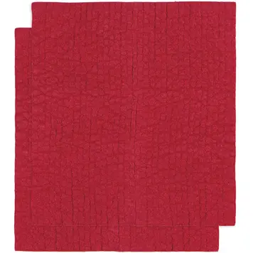 Red Cellulose Dishcloths, set of 2