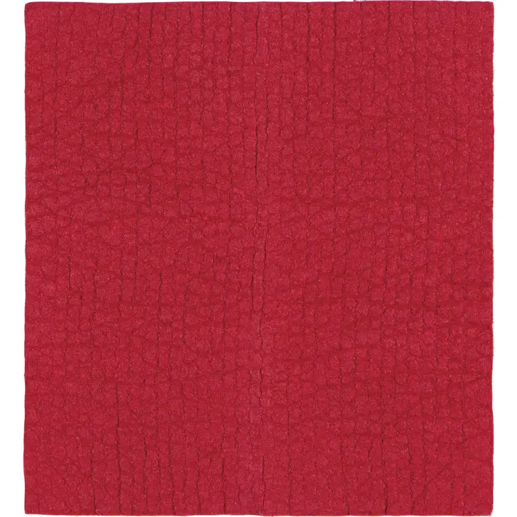 Red Cellulose Dishcloths, set of 2