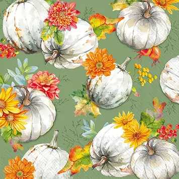 Cucurbita & Flowers Cocktail Napkins, set of 20