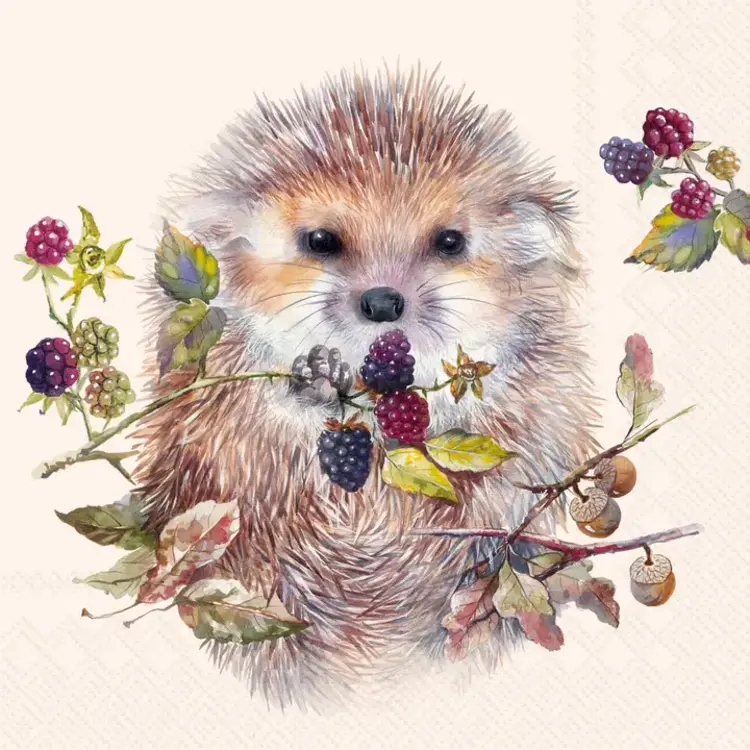 Forest Hedgehog Cocktail Napkins, set of 20
