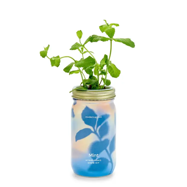 Mint Garden Jar