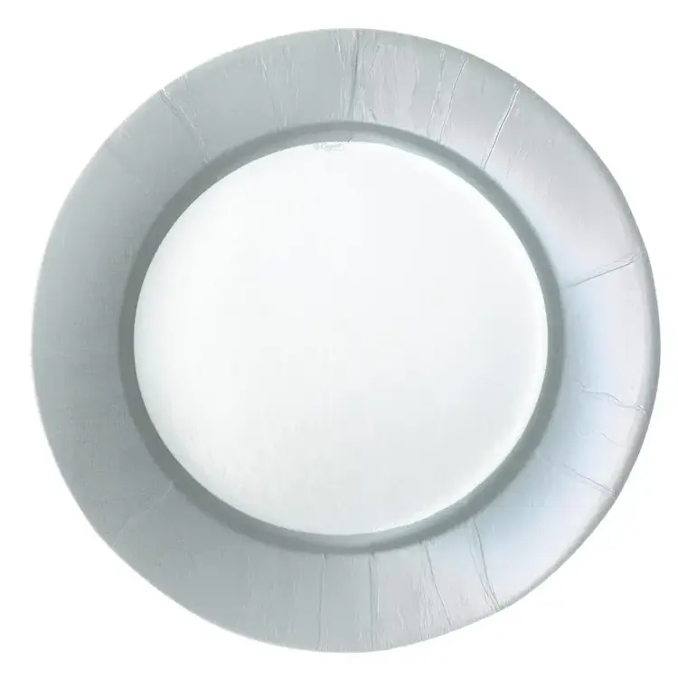 Silver Dinner Plates, set of 8