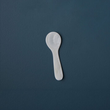 Small White Shell Spoon