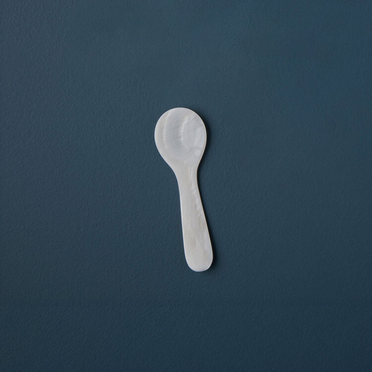 Small White Shell Spoon