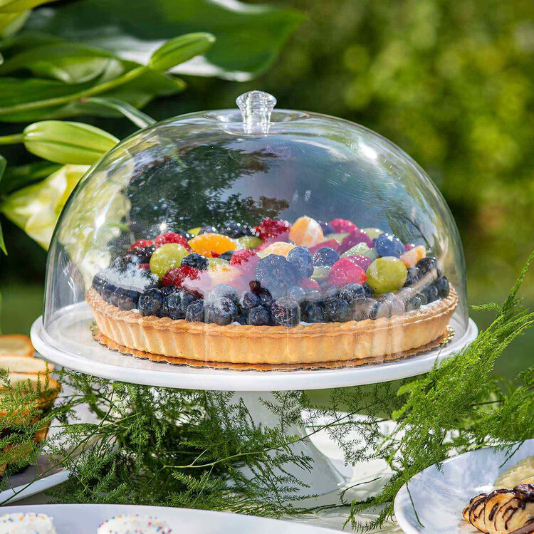 Clear Plastic Cake Dome