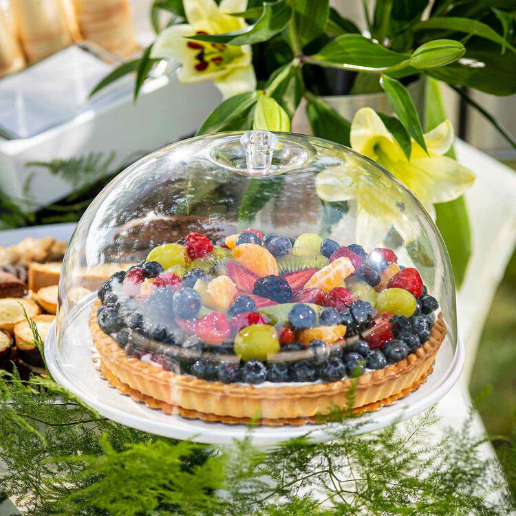 Clear Plastic Cake Dome