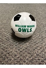 2024 mini sports balls