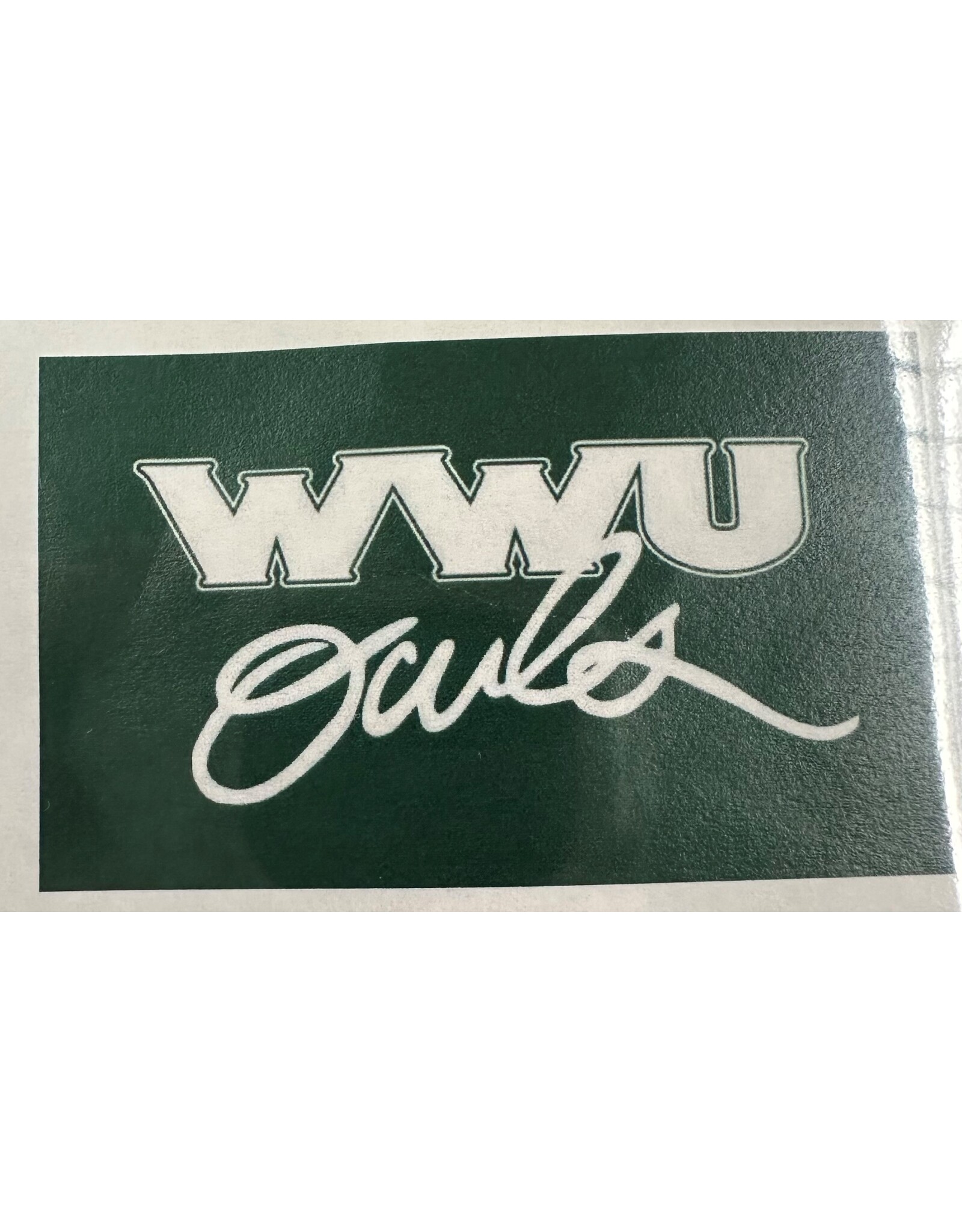 2024 WWU Owls 4'x6' flag