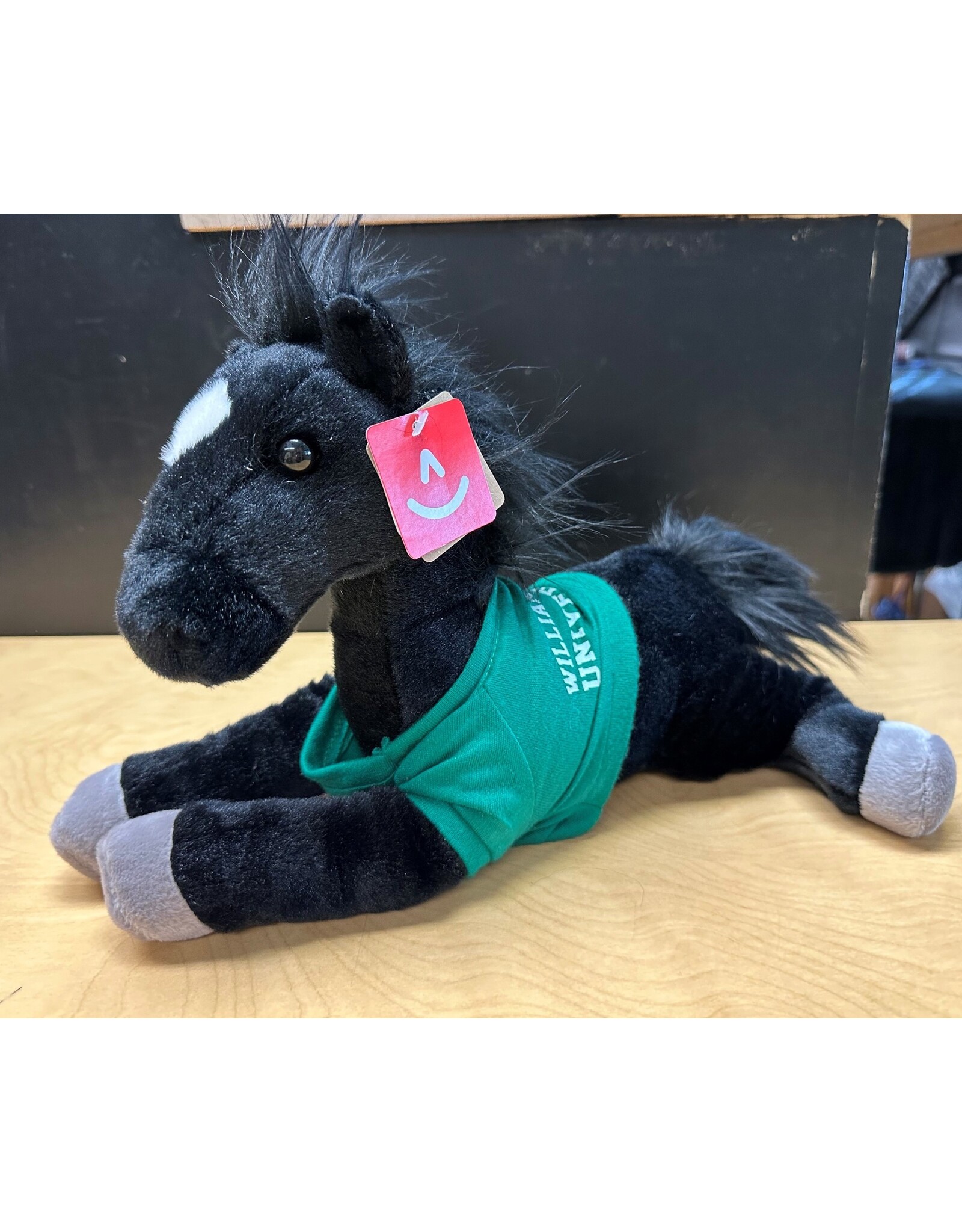 2025  Fiona's Furry Friends Black Pony
