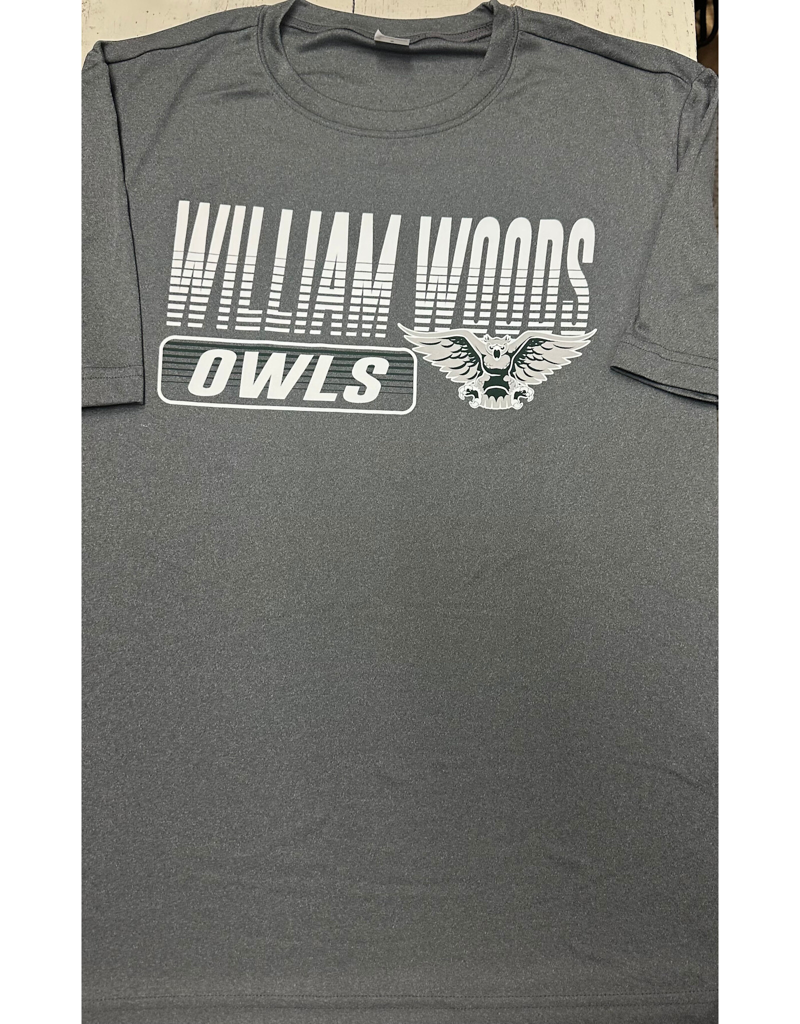 CI Sport 2025 William Woods Owls w/ Mascot  dri-fit SS t-shirt