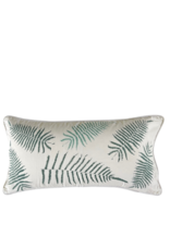 Fern Sham