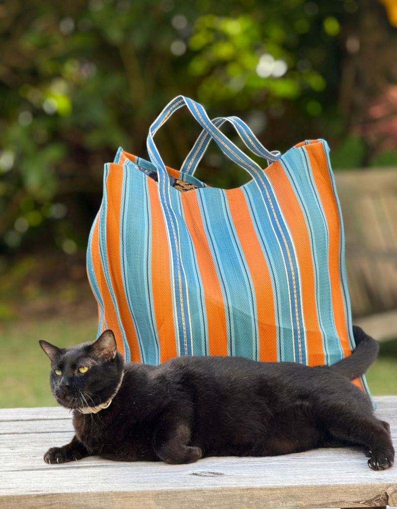 reversible tiger beach tote