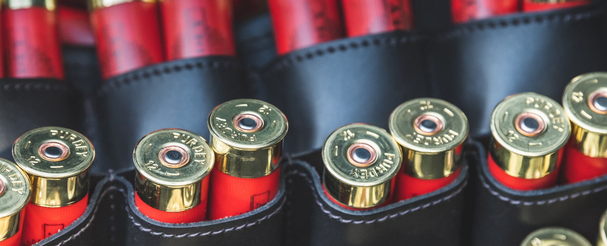 Shotgun Ammunition