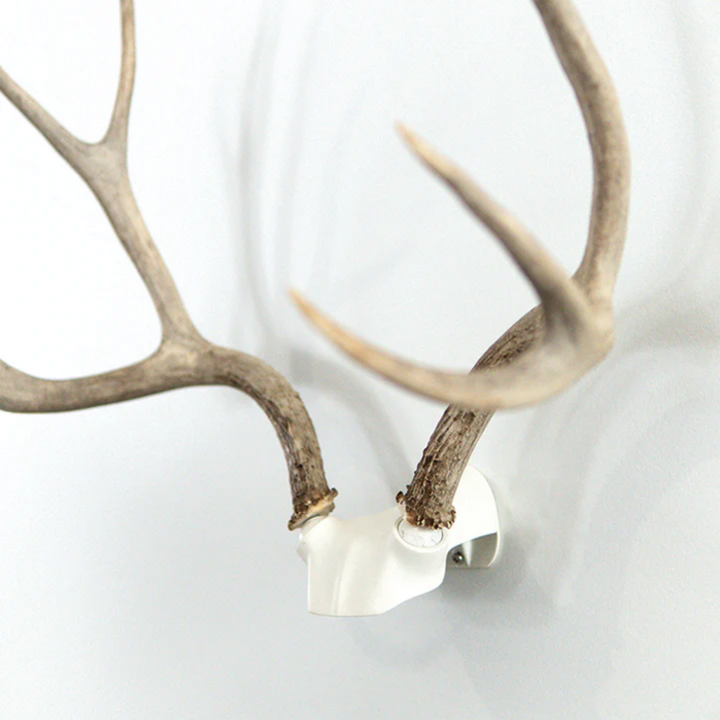 Bone Collector The Change Up (Antler Display Kit )