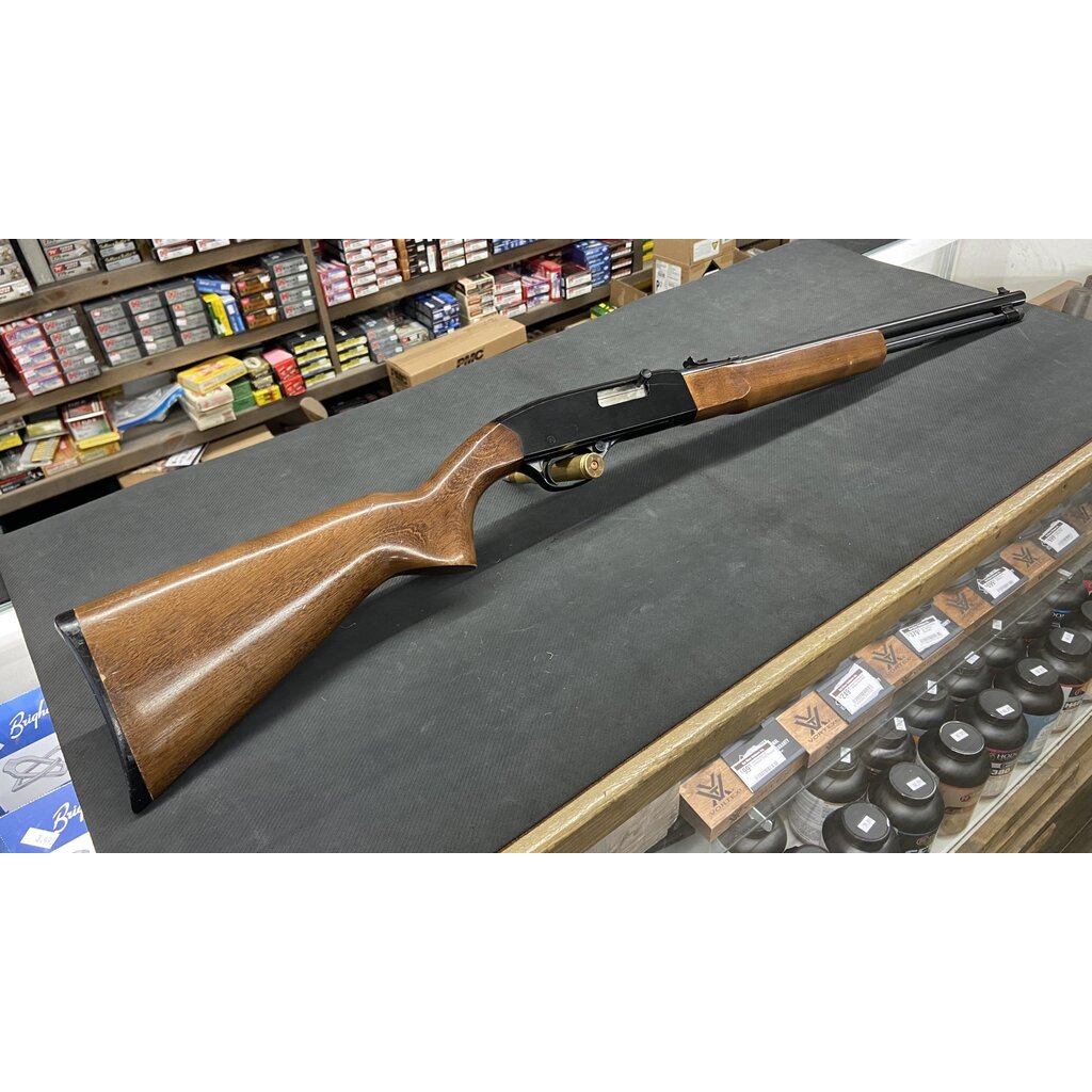 Winchester Model 190 22LR