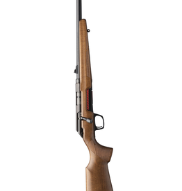 Winchester Xpert 22lr Wood