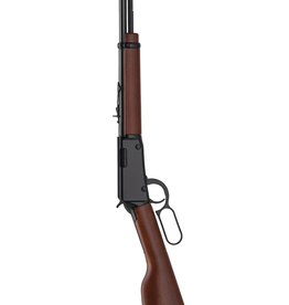 Henry Lever Action .22LR Model H001 Youth