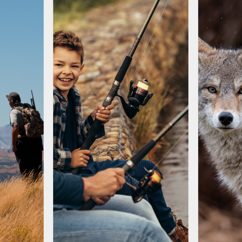 Hunting | Fishing | Trapping