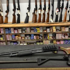 Mossberg 500 12ga w/20" Barrel & Folding Stock