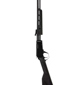 Rossi Gallery .22WMR 18" Barrel