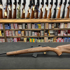 Howa M1100 Wood 22lr