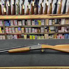 Savage 24C 22lr/20ga