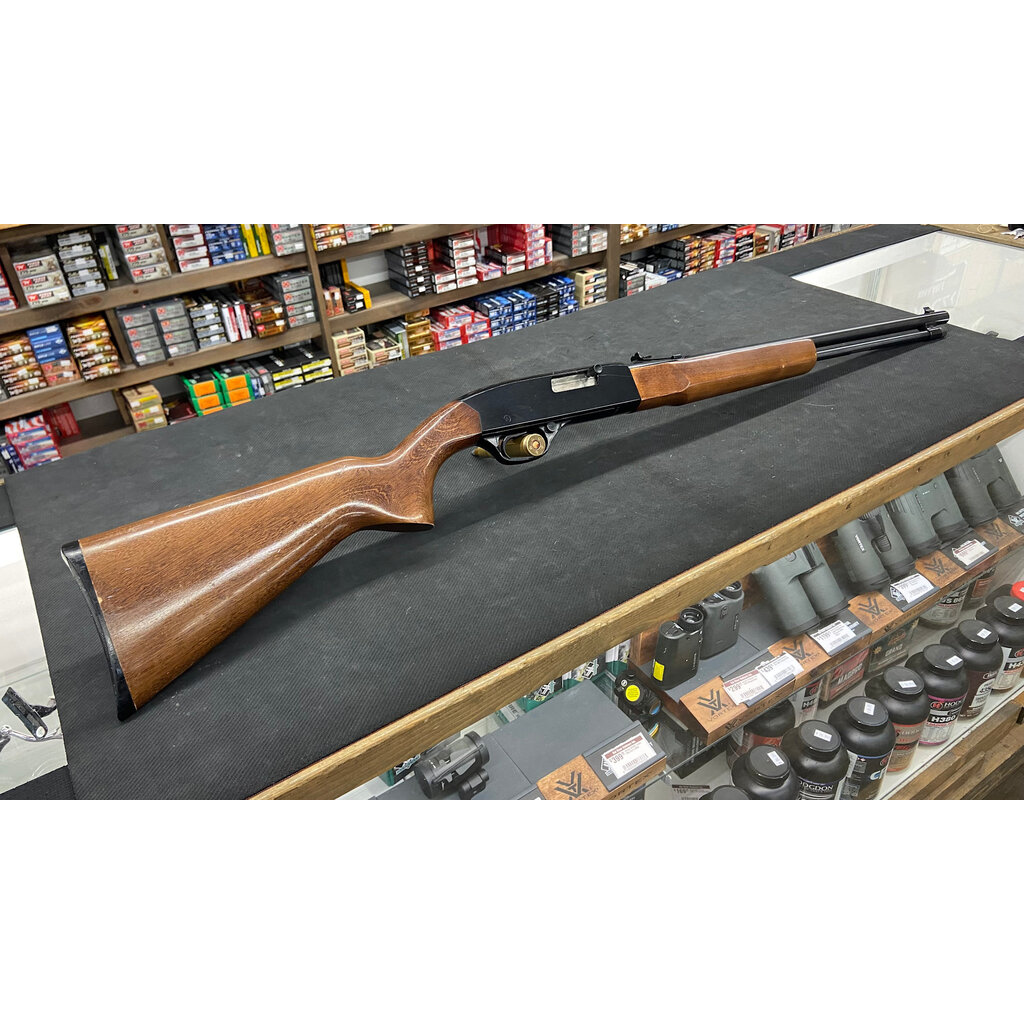 Winchester 190 22lr