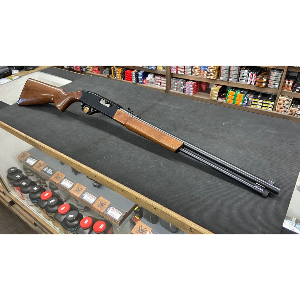 Winchester 190 22lr