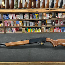 Winchester 190 22lr