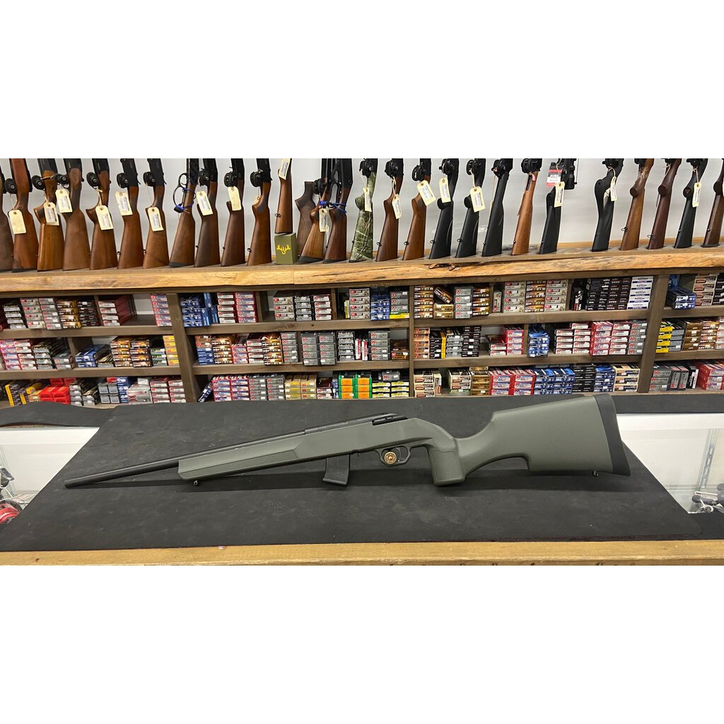 Howa Model 1100 17hmr