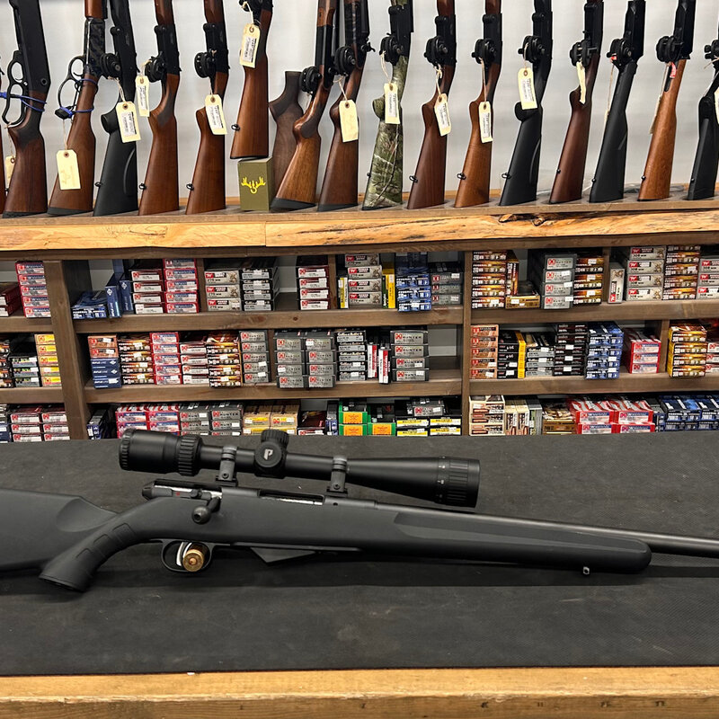 Savage Model 25 17 hornet w/Nikon scope + x9.5 boxes of ammo