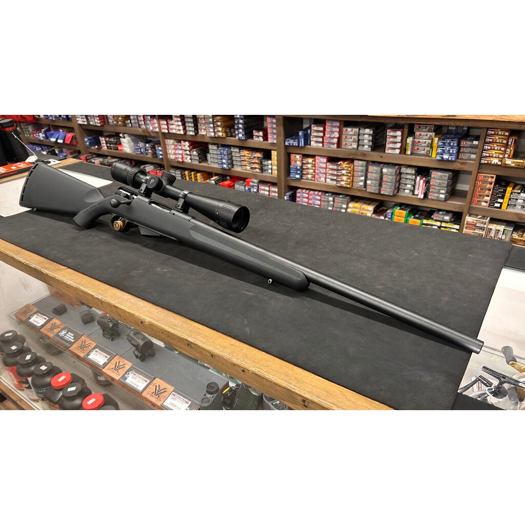 Savage Model 25 17 hornet w/Nikon scope