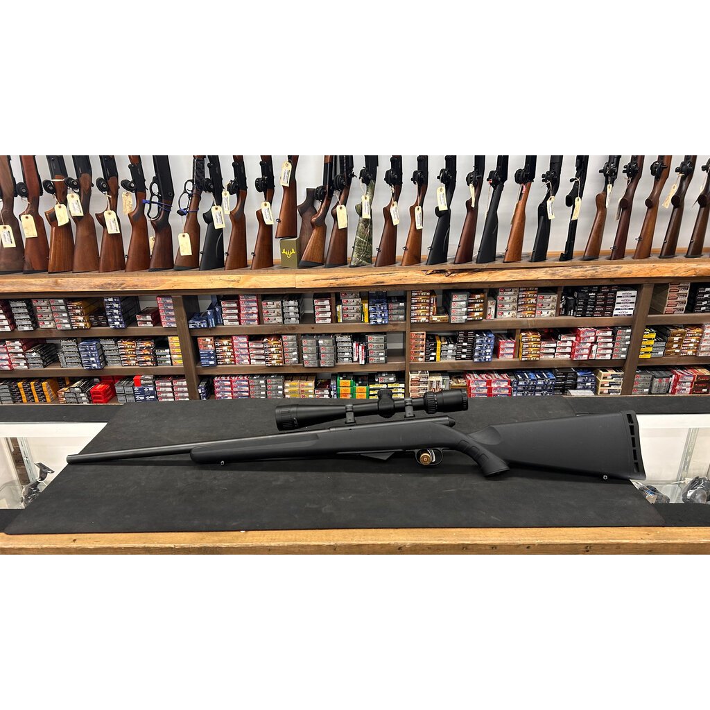 Savage Model 25 17 hornet w/Nikon scope