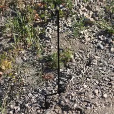 Engage Precision AR500 Shepherd Hook Target Stand 3/8", Short 36"