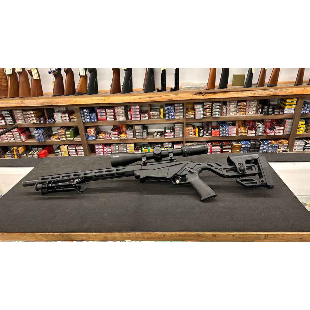 Ruger Precision 22lr w/Cabelas Covenant 6-24 scope