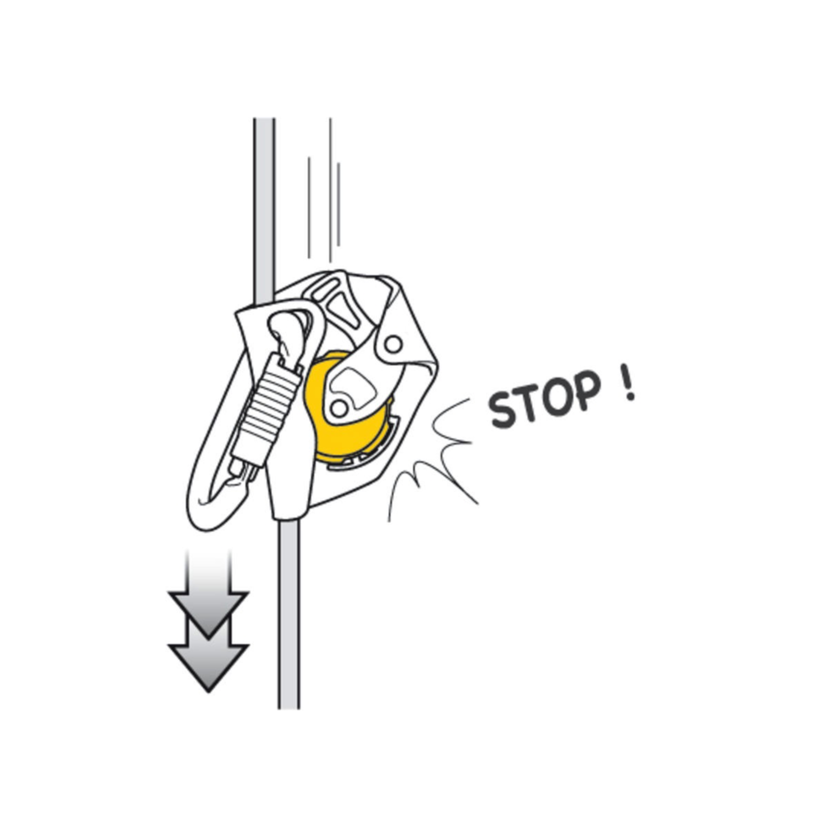 Petzl ASAP Fall Arrest