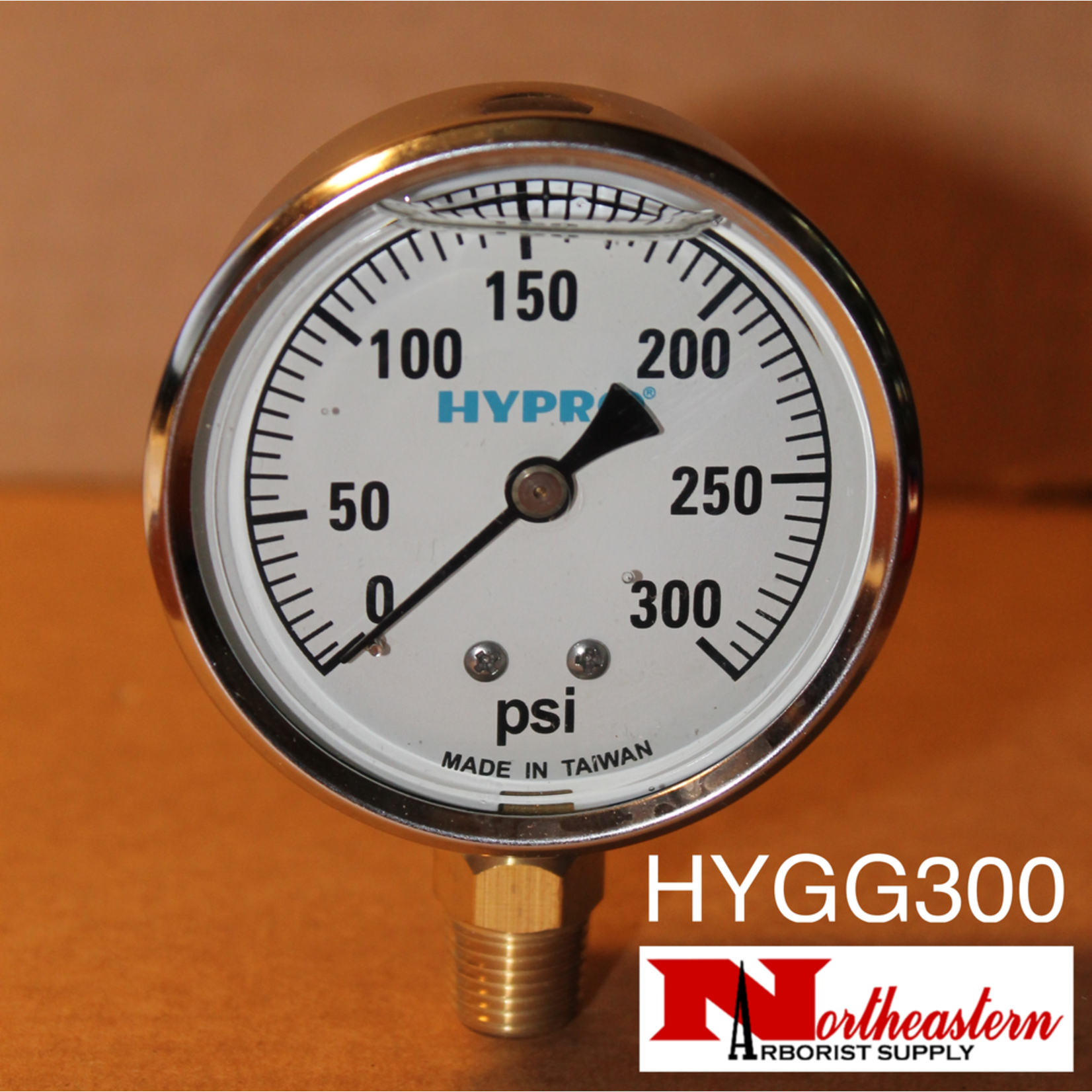 Gauge 0-300 Psi, Filled, Stainless Case 1/4" npt Base Mount
