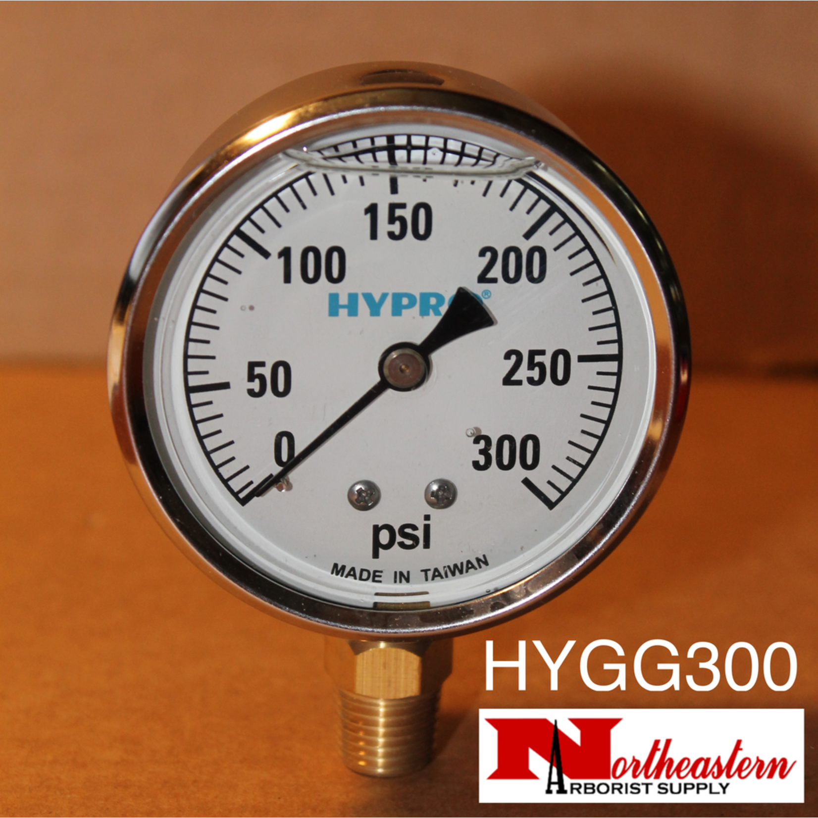 Hypro® Gauge 0-300 Psi, Filled, Stainless Case 1/4" npt Base Mount