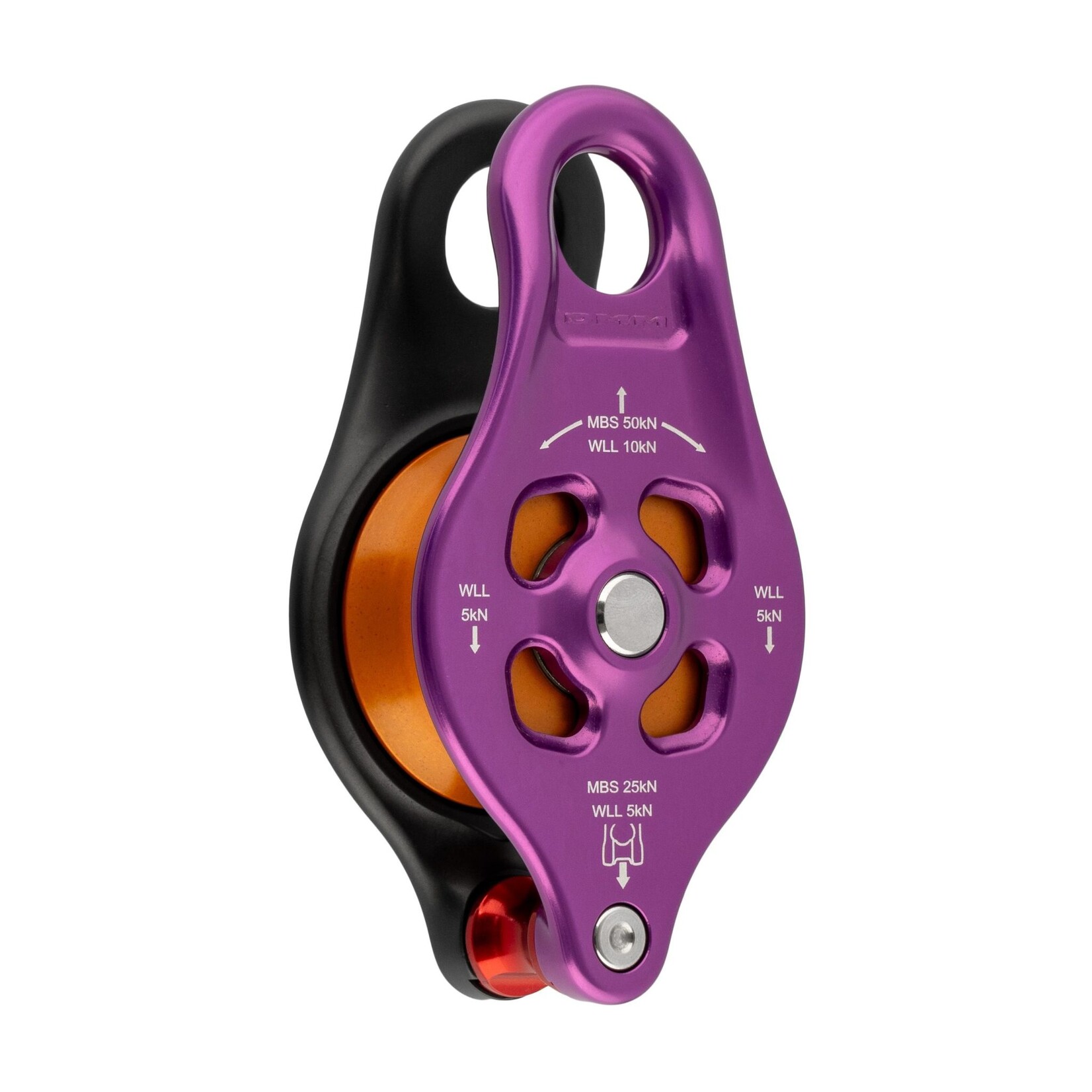 DMM Pinto Rig 2